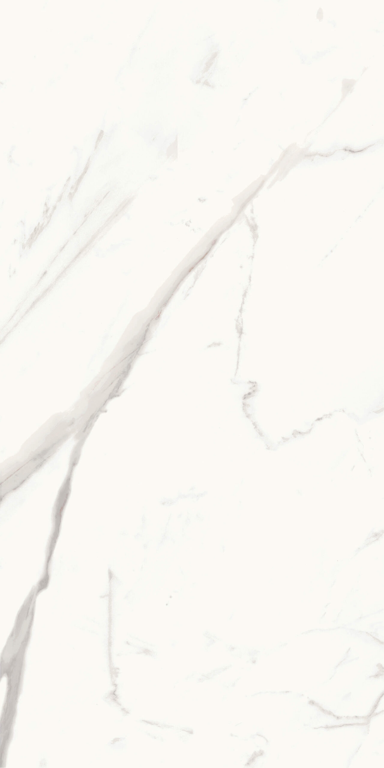 Marmi Calacata glossy